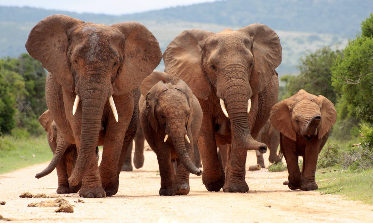 Kruger National Park
