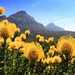 Garden Route