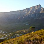 Tafelberg