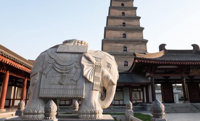 Grote Wilde Gans Pagode