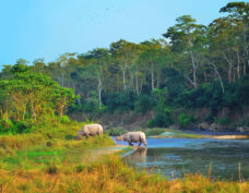 Chitwan National Park (Werelderfgoed)