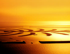 The Palm, Dubai