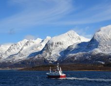 The “Seven Sisters“