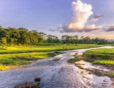 Chitwan National Park (World Heritage)