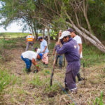 workers_preparing_the_ground_and_planting_trees