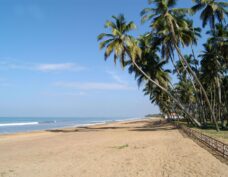 Beach at Royal Palms