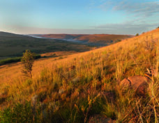 Mpumalanga Highlands