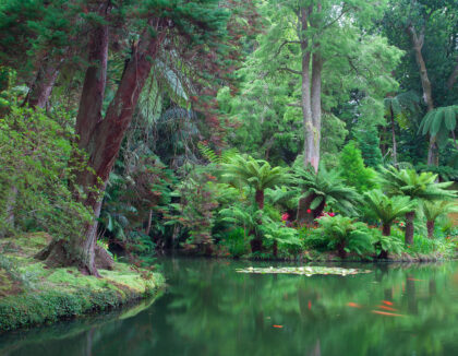 Botanical gardens ‘Terra Nostra‘