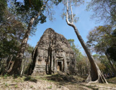 Sambor Prei Kuk (World Heritage)