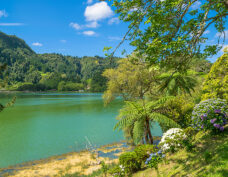 shutterstock_622699751_FurnasTal_low