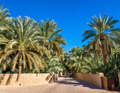 Al Ain, Abu Dhabi (World Heritage)