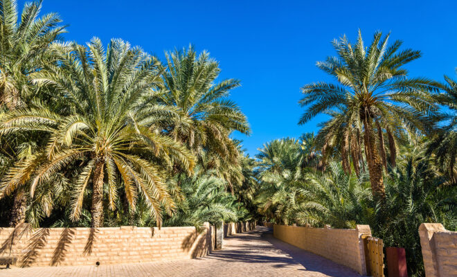 Al Ain, Abu Dhabi (World Heritage)