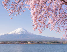 Fuji