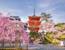 Kyoto (World Heritage)