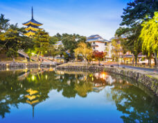 Nara (World Heritage)