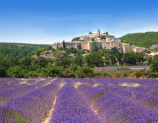 Lavendel_Provence_shutterstock_83703190_Frankreich