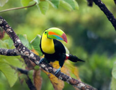 Costa Rica