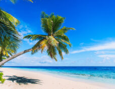 Bahamas