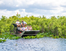 Airboat-Panoramafahrt