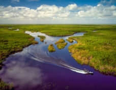 Everglades-Nationalpark, USA