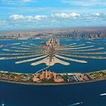 The Palm