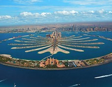The Palm