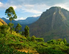 Bergsbyn Ella_Sri Lanka