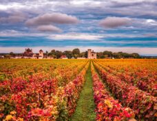 Bourgogne (världsarv)