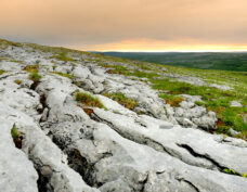 Karstlandskapet Burren