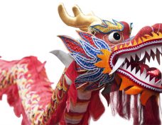 Chinese Dragon
