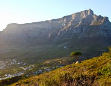 La Montagne de la Table