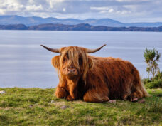 Les Highlands écossais