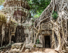 Angkor Ta Prohm Ruinen_iStock-472134245_low