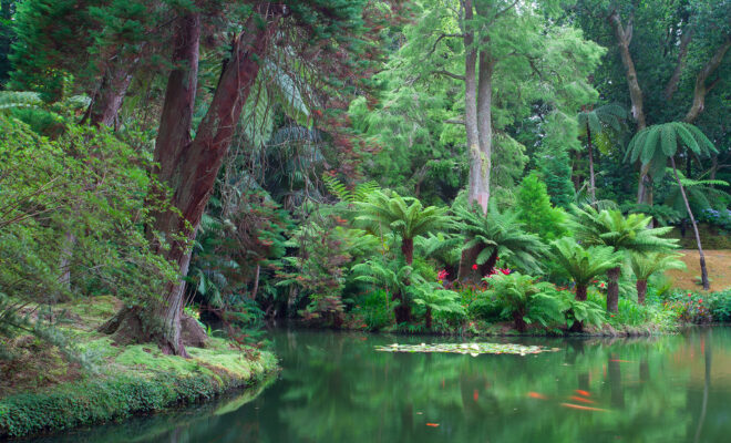 Jardin botanique