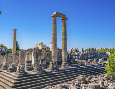 Temple d‘Apollon, Didyma