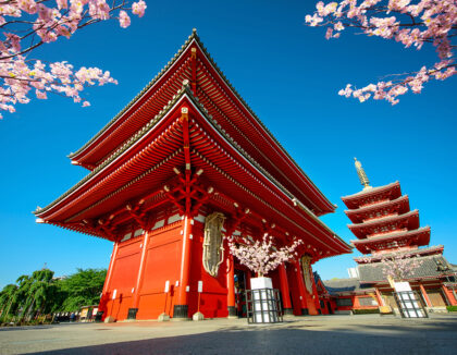 Sanctuaire Meiji, Tokyo